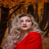 arisonseo
