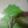 mehedihasanoff