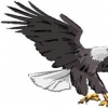 Venura