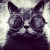 trendycat
