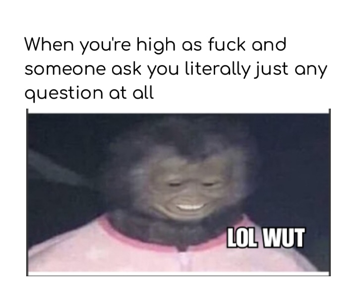 2 Hilarious memes for your Instagram account