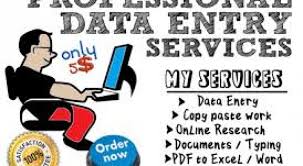 Professional Data Analyst and Accountant