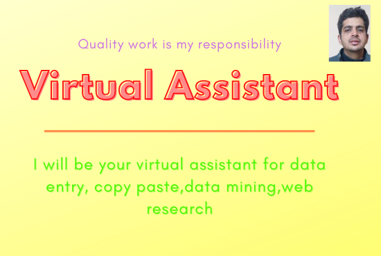 I will be your virtual assistant for data entry copy ...
