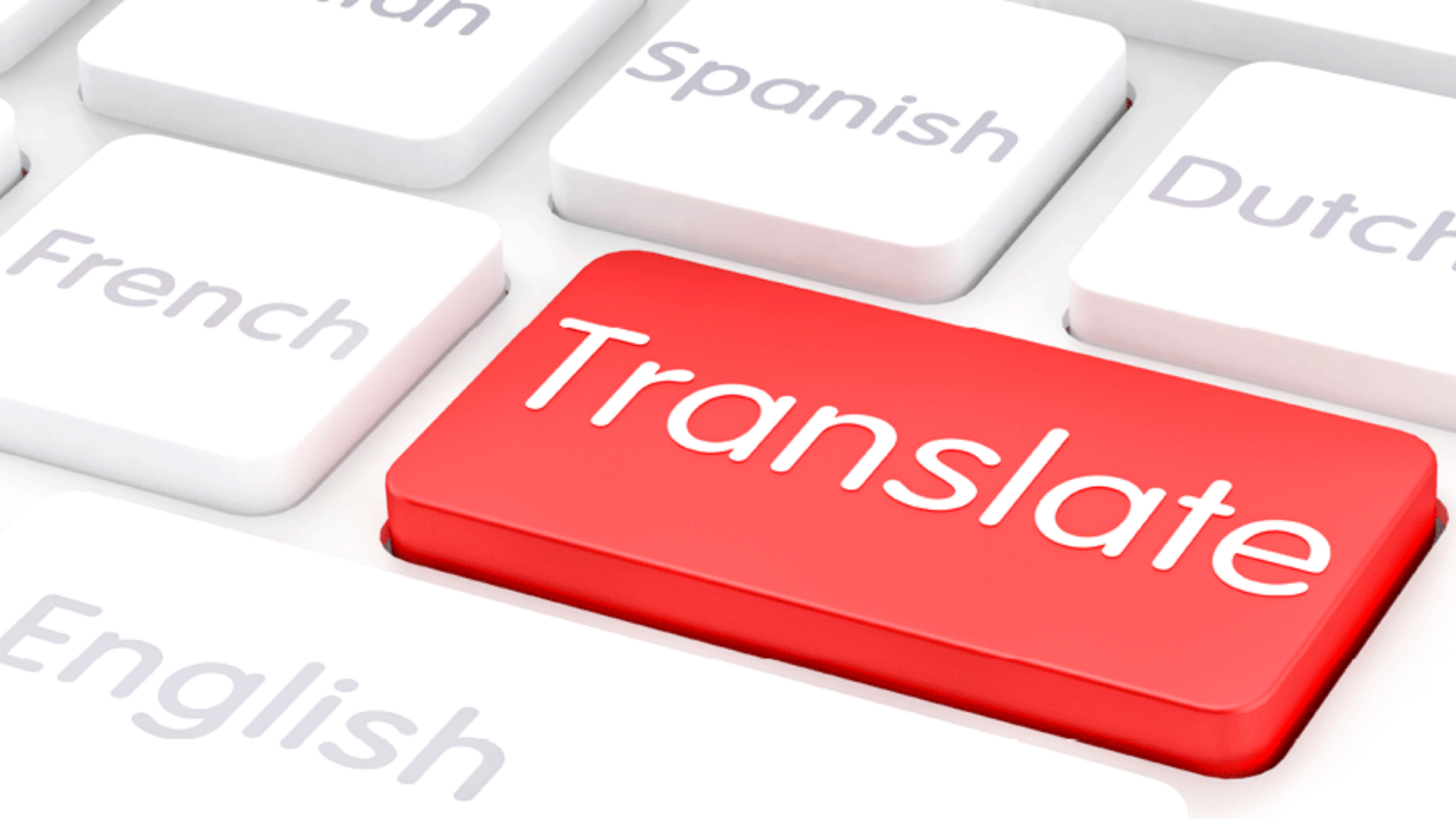 I will translate any article into English-French-Chin...