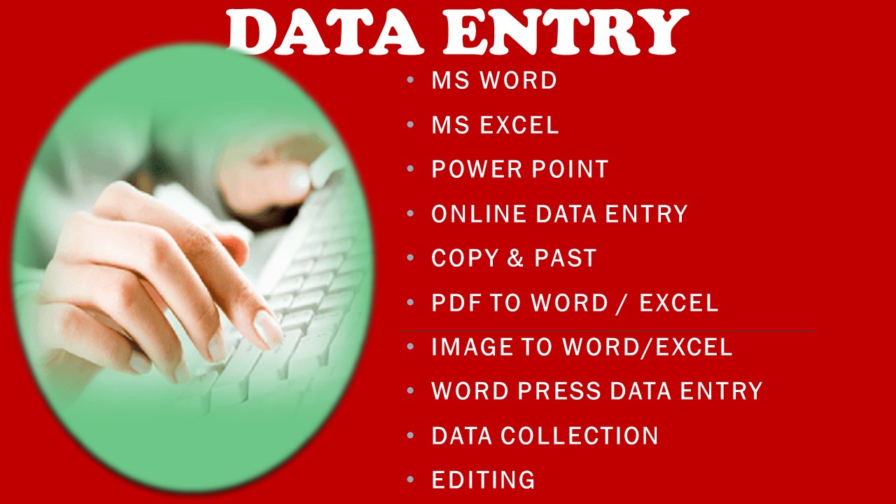 I will be your virtual assistant for data entry in Mi...