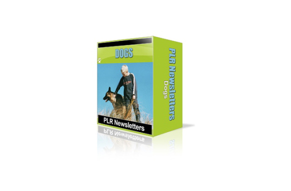 PLR Newsletters Collection with full PLR, MRR, RR Licence 