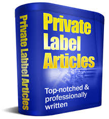 100,000+ PLR Articles For Faster Niche Content Creation