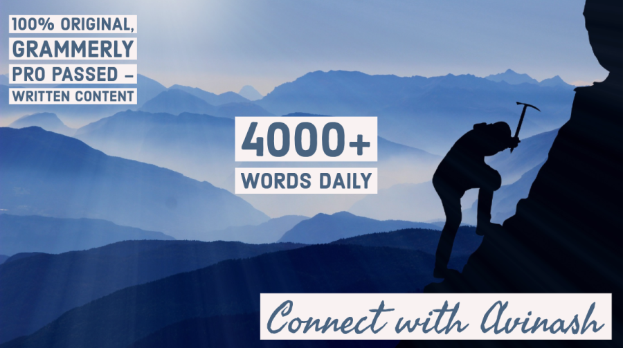 100% Original, SEO Oriented & Grammerly Pro Pass Content 