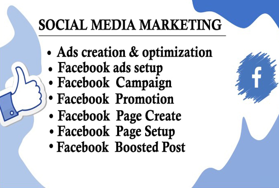 I will be your social media facebook ads manager