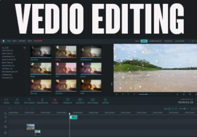 do professional YouTube video editing and face book ads .