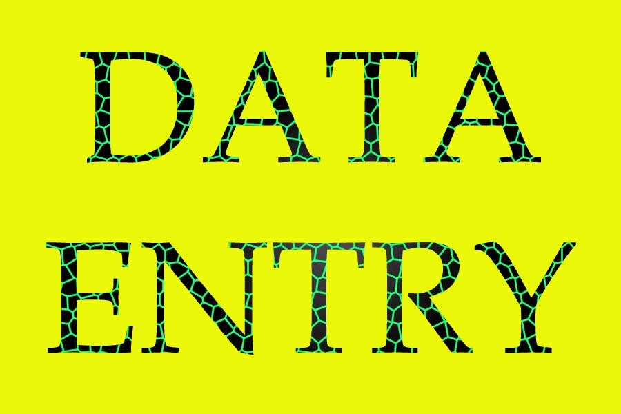  Any Type Of Data Entry Work Properly  Complete