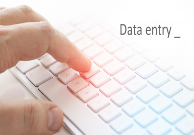 I will do perfect data entry work as a virtual assistant