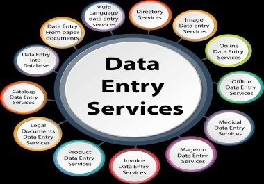 I can Do excel data entry works