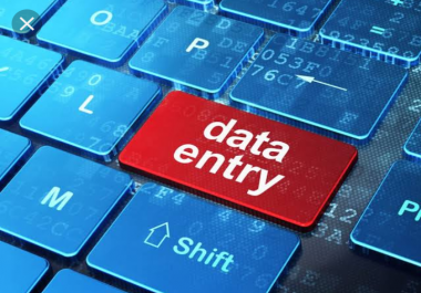 Data entry Accurate Typing work Good service