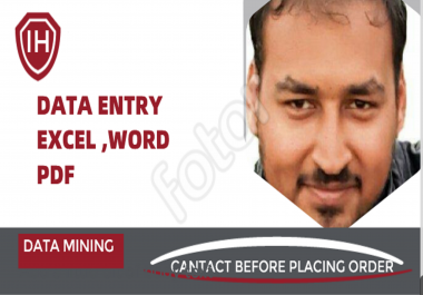 I will do excel data entry,  copy paste,  typing,  data entry