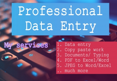 Fastest Data entry delivery you ever SEEN