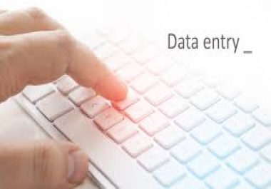 i will do typing,  data entry,  file conversion,  excel,  pdf,  ms word etc