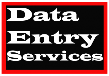 Best data entry service